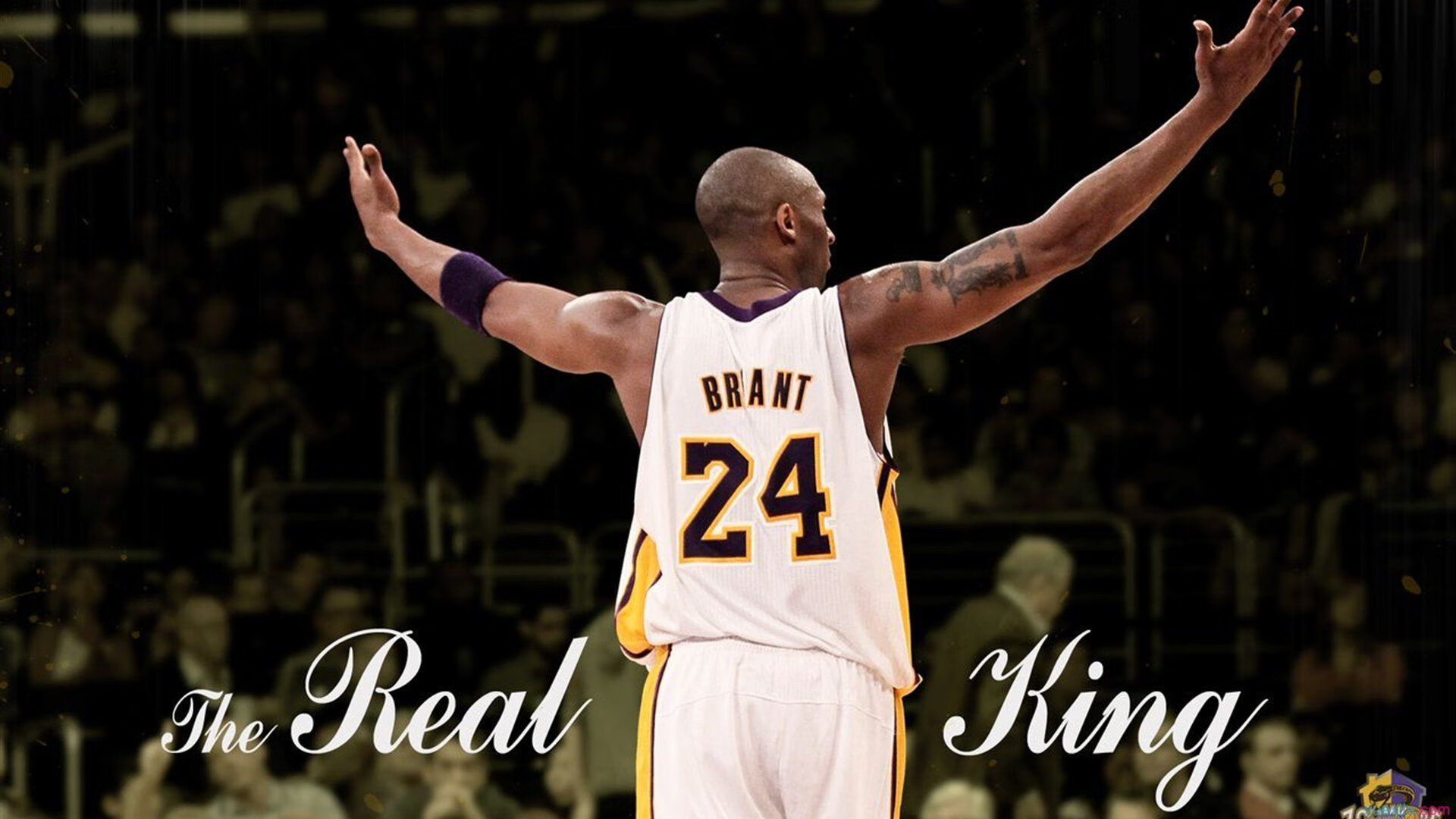 NBA赛季抢断王数据统计,nba抢断王有奖杯吗